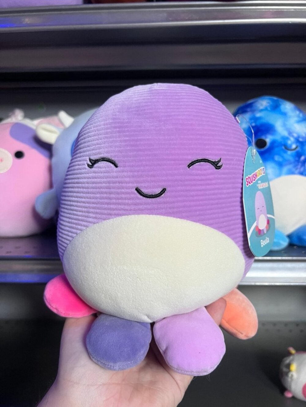 Beula Corduroy squisharoy Octopus Squishmallow 8" NWT
